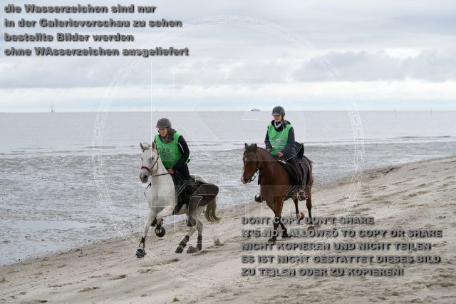 s_K3F04695.JPG